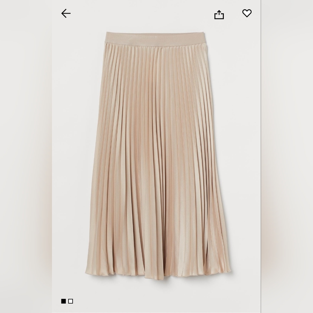NWT Pleated Skirt